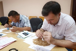 Специалисты из Астрахани повысили квалификацию в Ростове-на-Дону