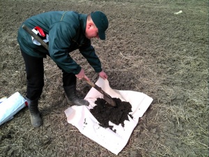 О выявлении загрязнения почв в Волгоградской области в ноябре
