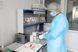 Об обнаружении антибиотиков в мясе птицы и говядине из двух регионов