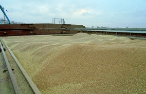 В сентябре через Ростовский речной порт на экспорт ушло около 271 тыс. тонн сельхозгрузов