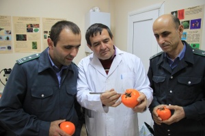 О фотосанитарном контроле импортных фруктов и овощей в Республике Дагестан