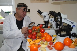 О фотосанитарном контроле импортных фруктов и овощей в Республике Дагестан