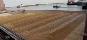 Более 788 тыс. тонн сельхозгрузов ушло на экспорт в апреле через Ростовский речной порт